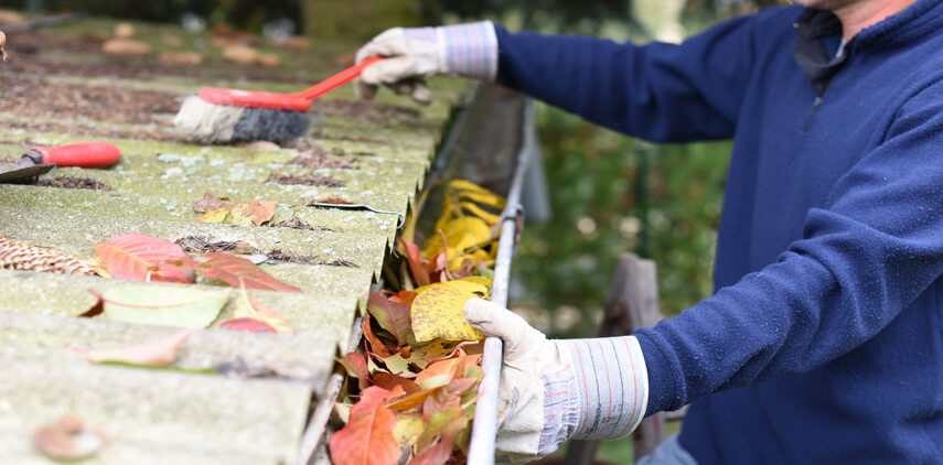 Clean-the-gutters