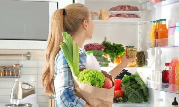 10 Tips for Buying a New Refrigerator Online (Fridge Buying Guide)